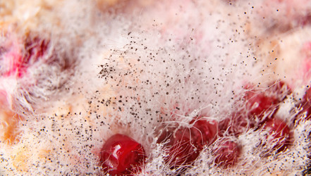 Similar image 21783426