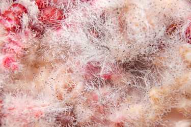 Similar image 21782096