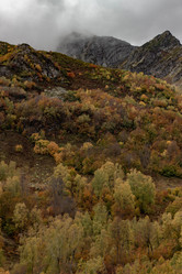 Similar image 21785207