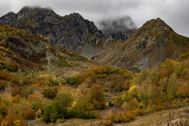 Similar image 21785208