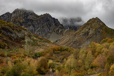 Similar image 21785210