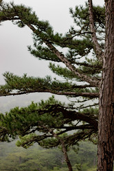 Similar image 21785213