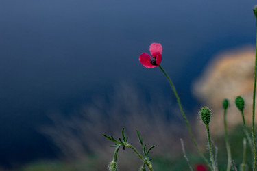 Similar image 21785214