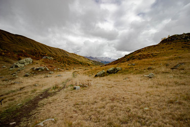 Similar image 21785215