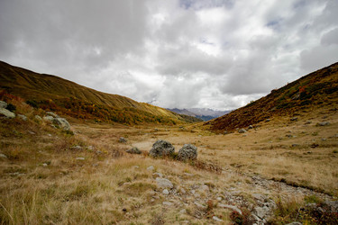 Similar image 21785216