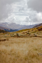 Similar image 21785219