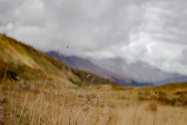 Similar image 21785221