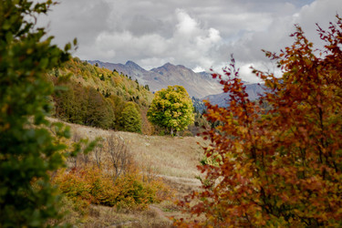 Similar image 21785227