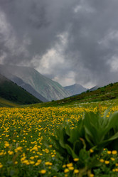 Similar image 21785228