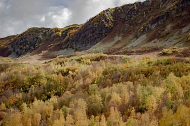 Similar image 21785229