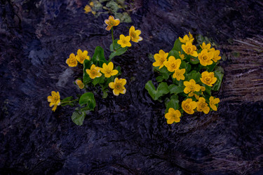 Similar image 21785232