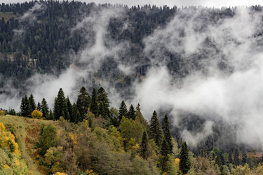 Similar image 21785233