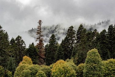 Similar image 21785235