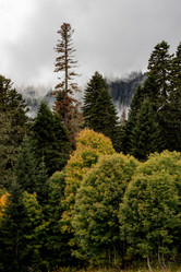 Similar image 21785237