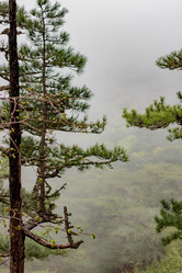 Similar image 21785239