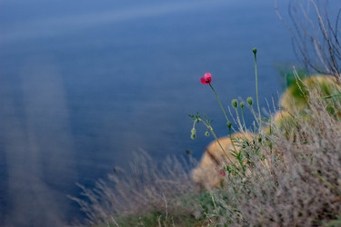 Similar image 21785240