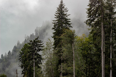 Similar image 21785241