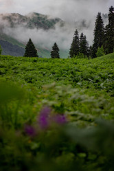 Similar image 21785244