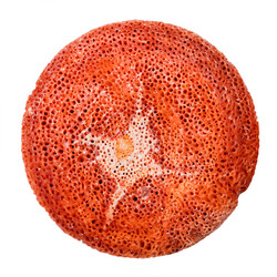 Similar image 21783316