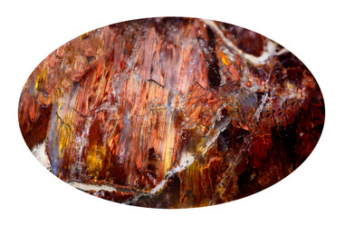 Similar image 21783754