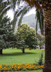 Similar image 21784390