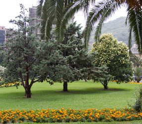 Similar image 21784398