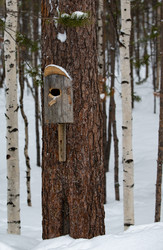 Similar image 21784404