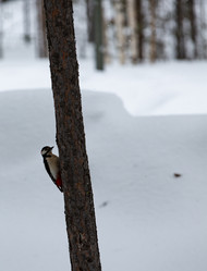 Similar image 21784405