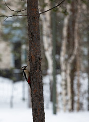 Similar image 21784406