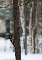 Similar image 21784407