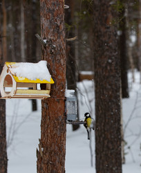 Similar image 21784408