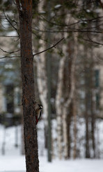 Similar image 21784409