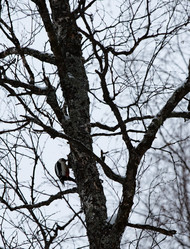 Similar image 21784413