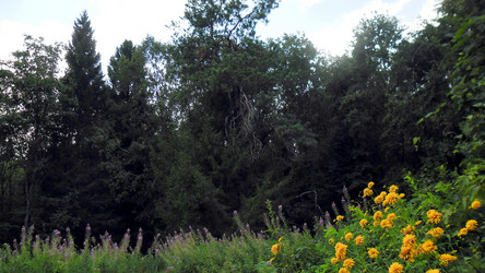 Similar image 21782511