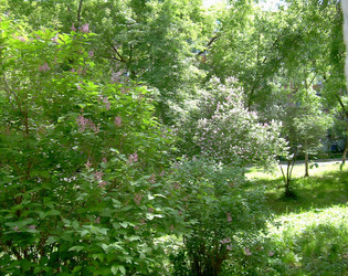 Similar image 21782513