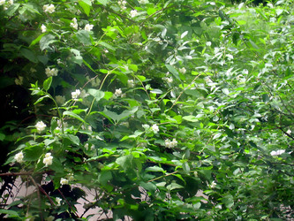 Similar image 21782514