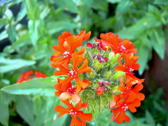 Similar image 21782516