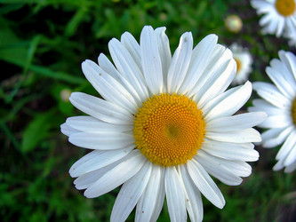 Similar image 21782517