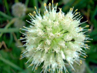 Similar image 21782518