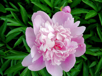 Similar image 21782519