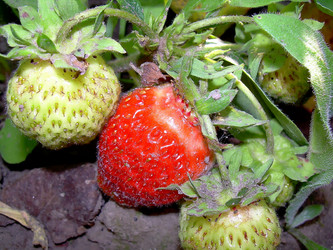 Similar image 21782520