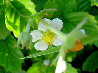 Similar image 21782521