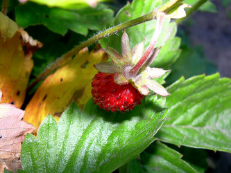 Similar image 21782522