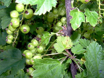 Similar image 21782523