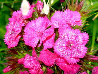 Similar image 21782524