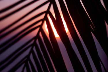 Similar image 21785254