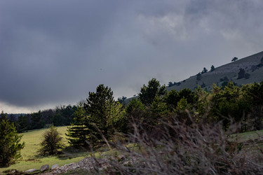 Similar image 21785260