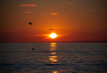 Similar image 21785266