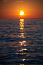 Similar image 21785267