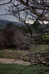 Similar image 21785268